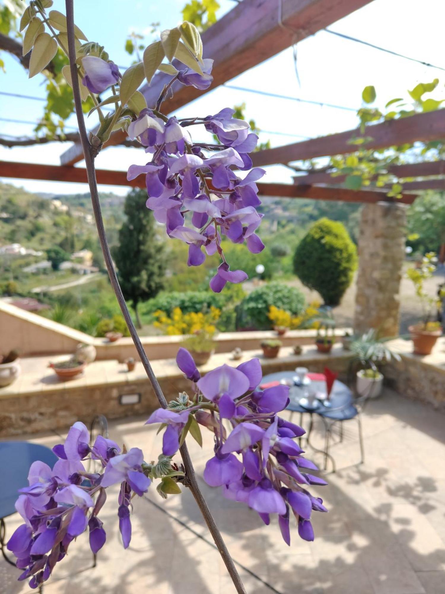 Panorama Suite Piazza Armerina Zewnętrze zdjęcie